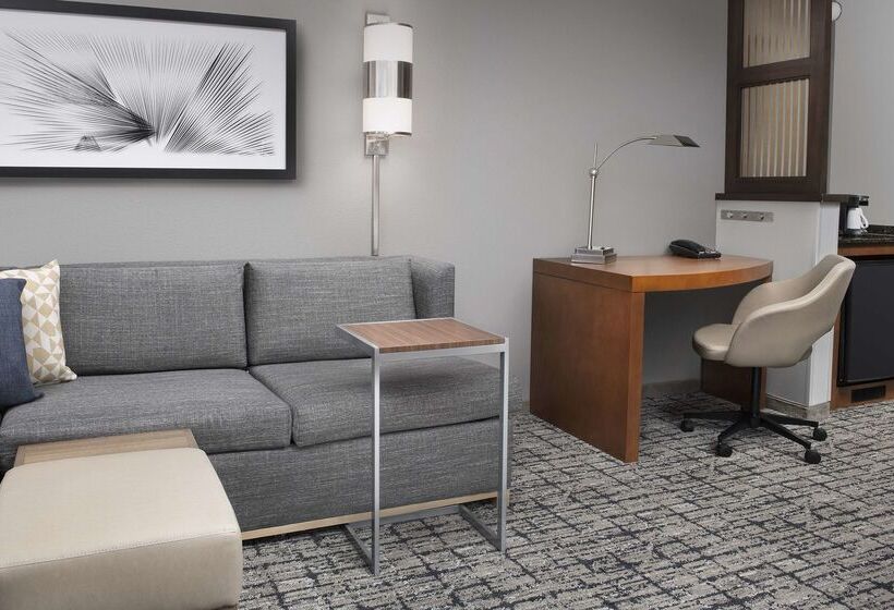 فندق Hyatt Place Sugar Land