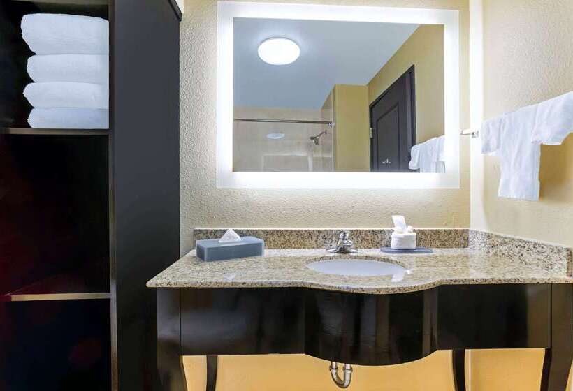 ホテル La Quinta By Wyndham Denver Gateway Park