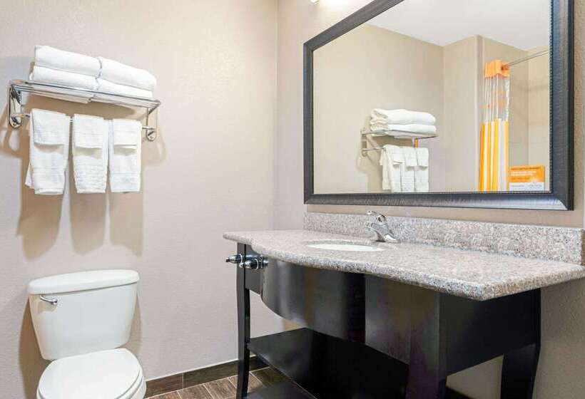 فندق La Quinta By Wyndham Mcalester