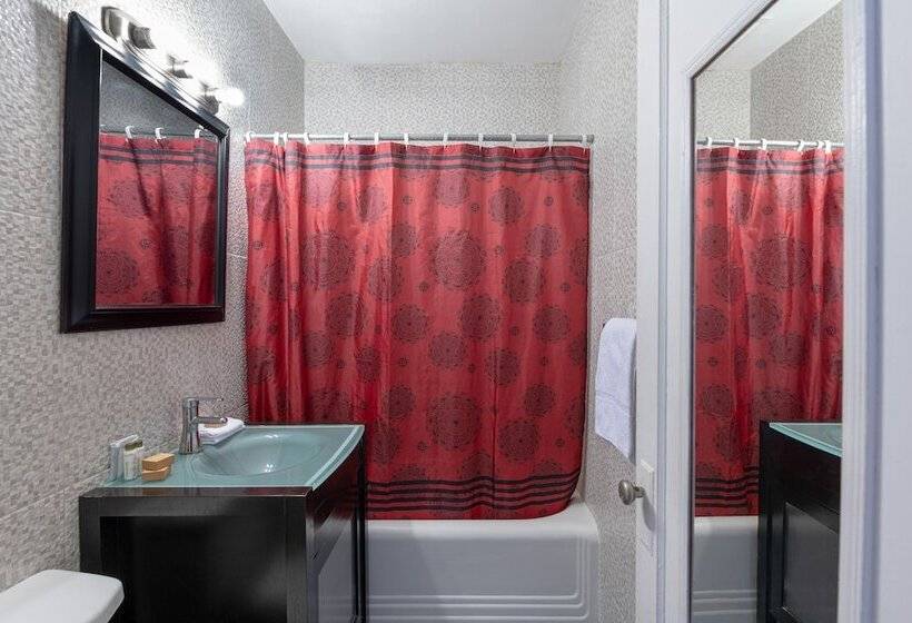 ホテル Notebook Miami Beach