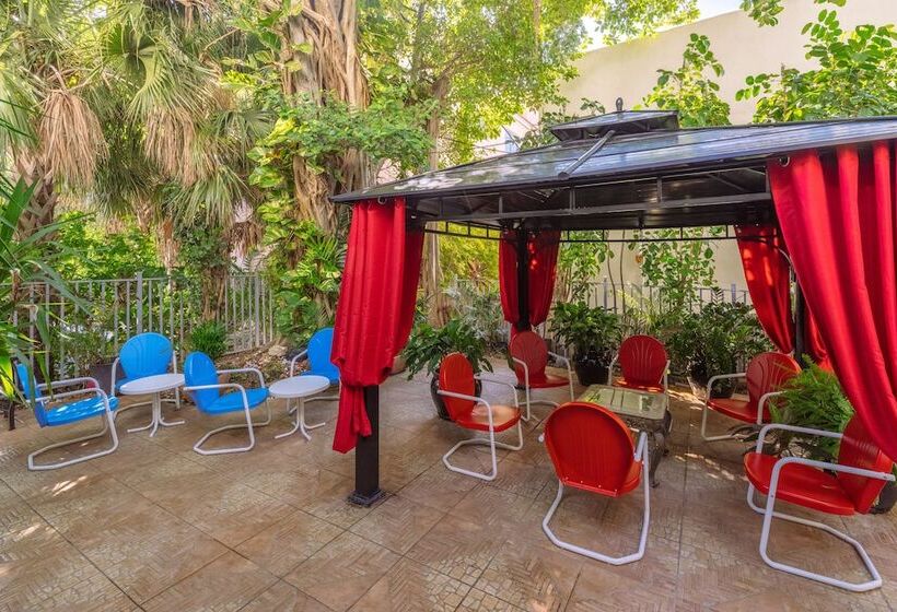 ホテル Notebook Miami Beach