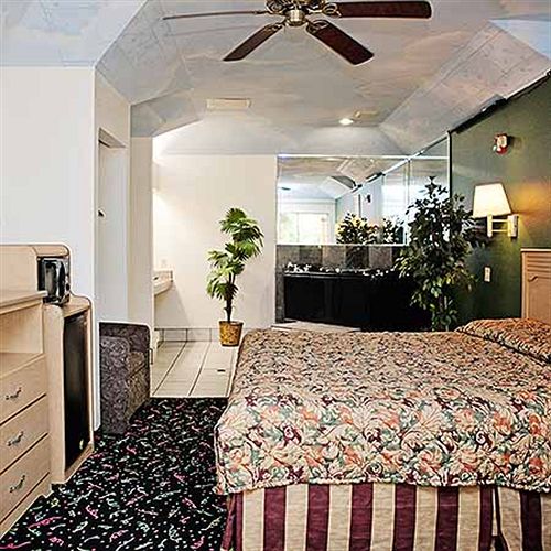 בית מלון כפרי Palace Inn &Suites Willowbrook