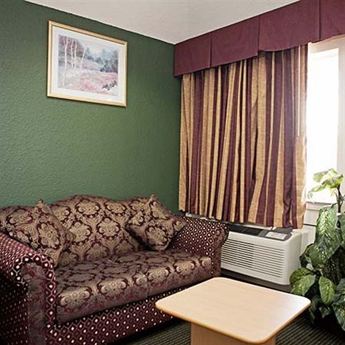 בית מלון כפרי Palace Inn &Suites Willowbrook