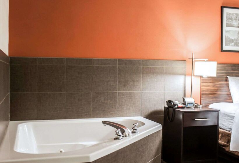 酒店 Sleep Inn & Suites Fort Campbell