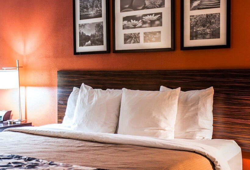 酒店 Sleep Inn & Suites Fort Campbell