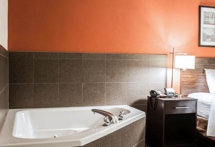 בית מלון כפרי Sleep Inn & Suites Fort Campbell