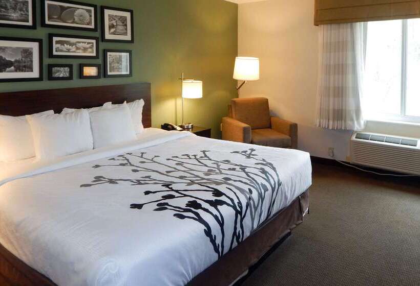 בית מלון כפרי Sleep Inn & Suites Near Liberty Place I65
