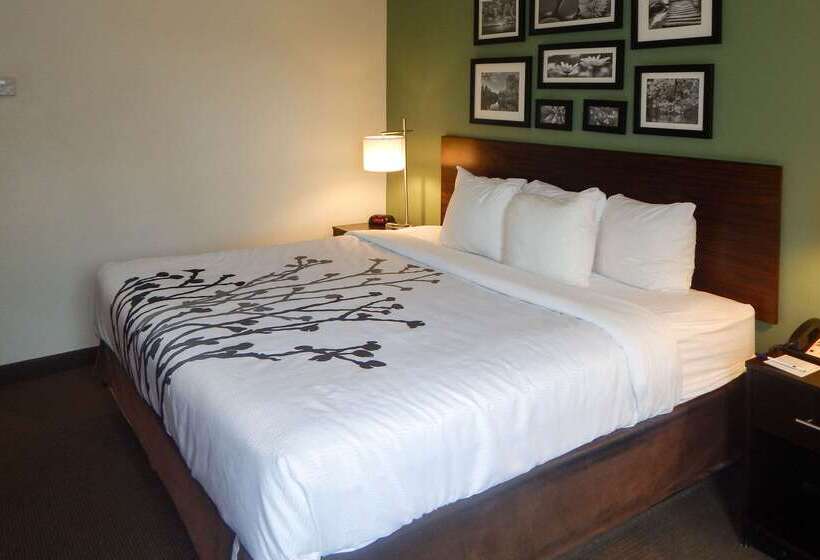فندق Sleep Inn & Suites Near Liberty Place I65