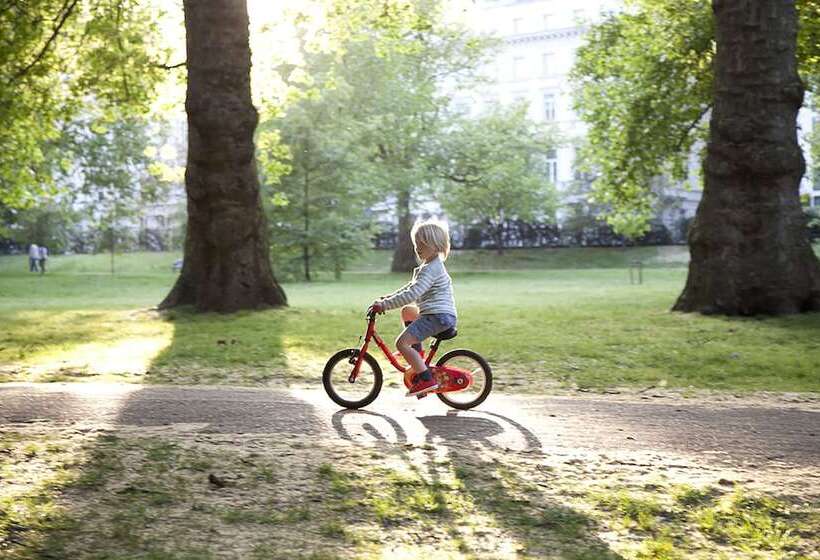 The Athenaeum Hotel & Residences