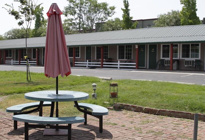 Jumping Frog Motel