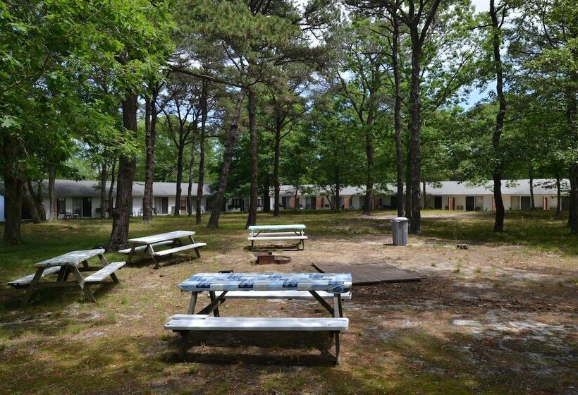 فندق على الطريق Blue Dolphin Inn