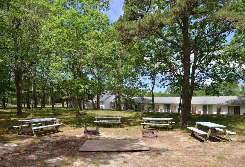 فندق على الطريق Blue Dolphin Inn