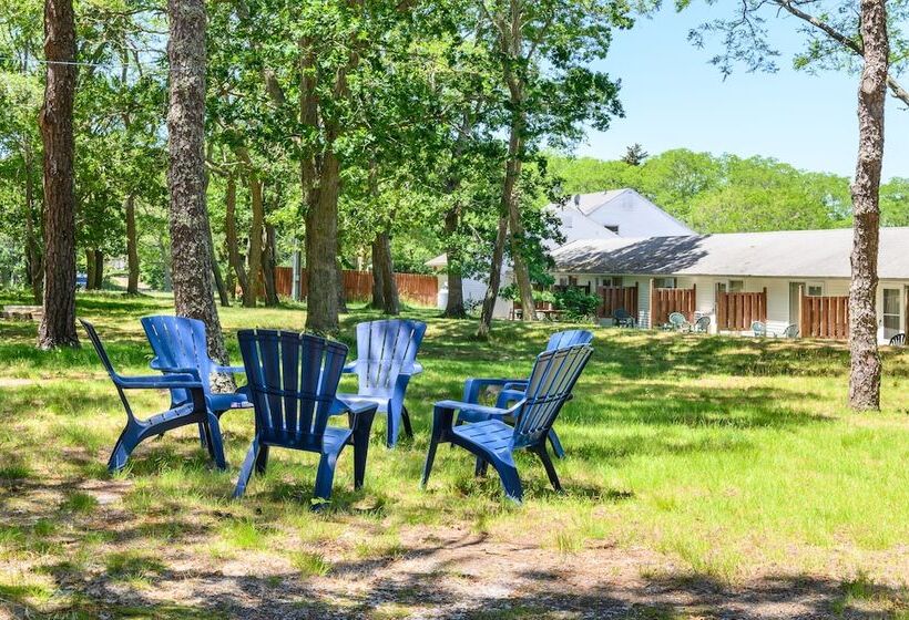 فندق على الطريق Blue Dolphin Inn