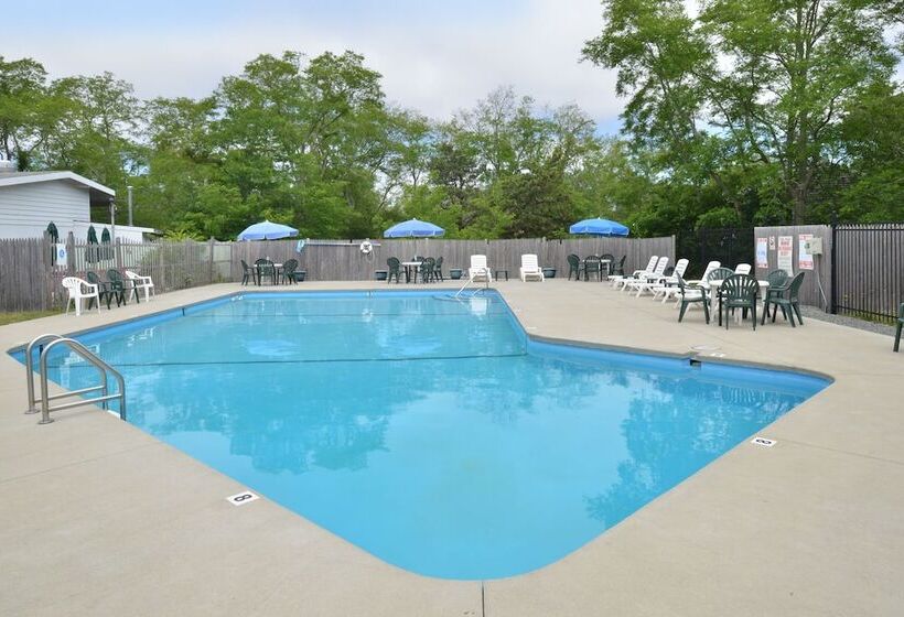 فندق على الطريق Blue Dolphin Inn