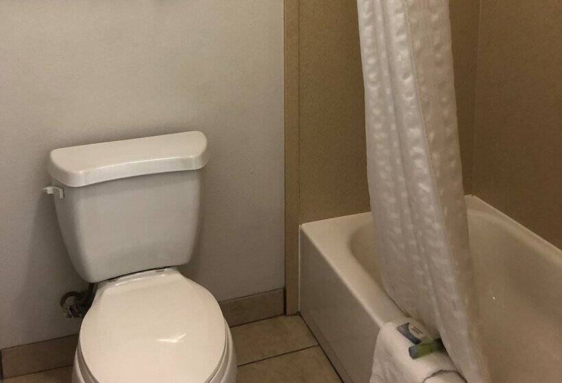 汽车旅馆  Executive Inn & Suites Joaquin