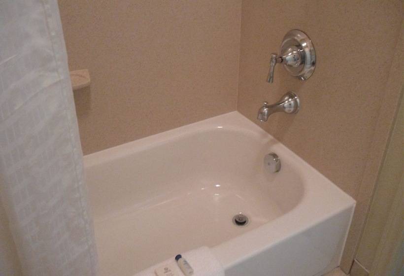 فندق على الطريق Executive Inn & Suites Joaquin