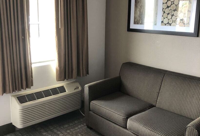 فندق على الطريق Executive Inn & Suites Joaquin