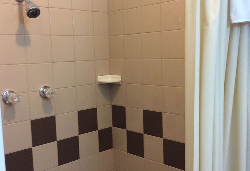 فندق على الطريق Regency Inn Comanche