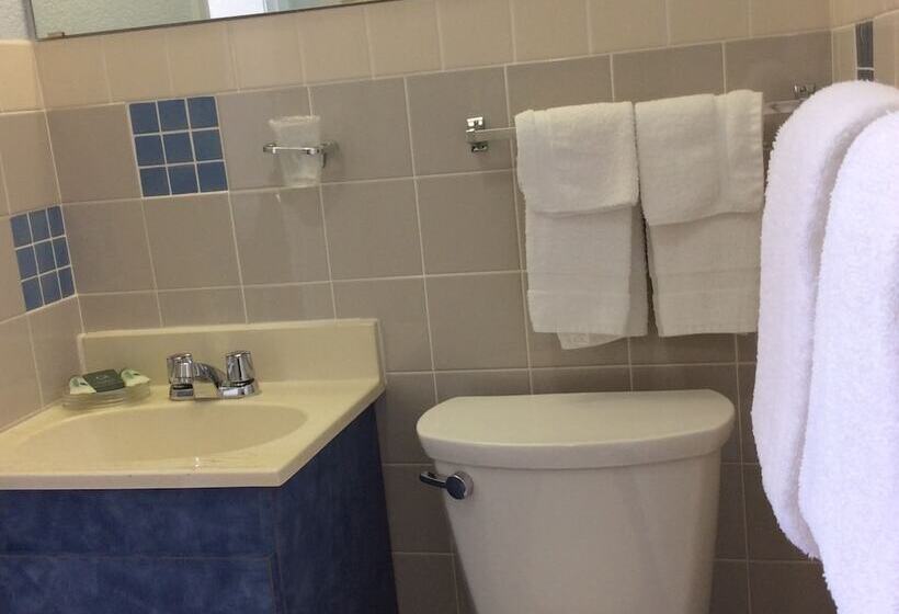 فندق على الطريق Regency Inn Comanche