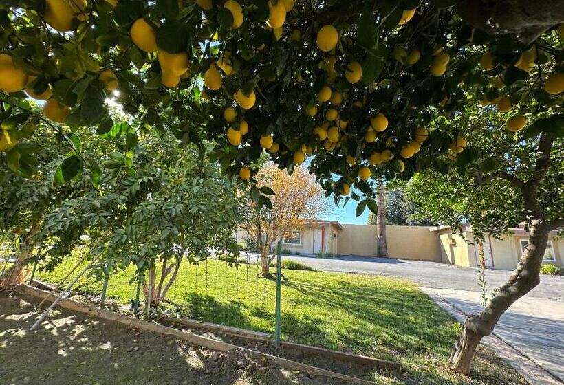 فندق على الطريق Royal Inn And Suites