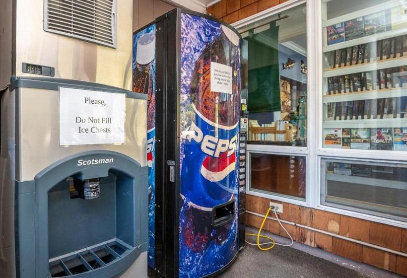 Sailor Jack Oceanfront Motel