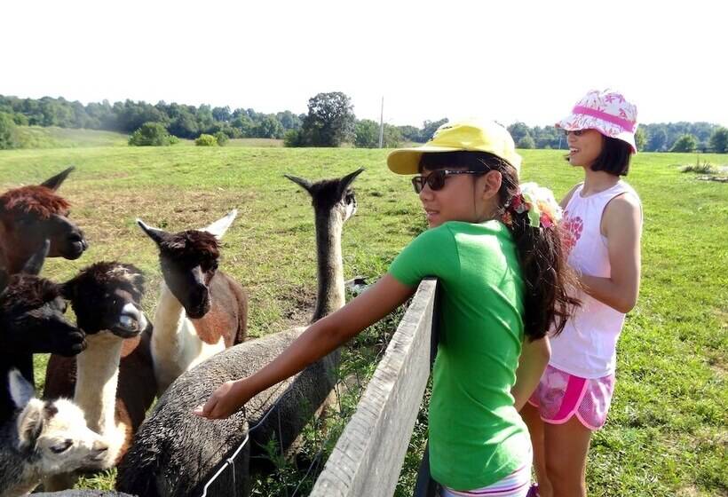 Southern Grace Bed & Breakfast