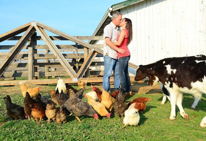 Southern Grace Bed & Breakfast