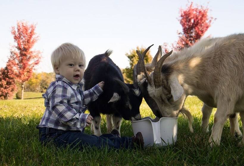 Southern Grace Bed & Breakfast