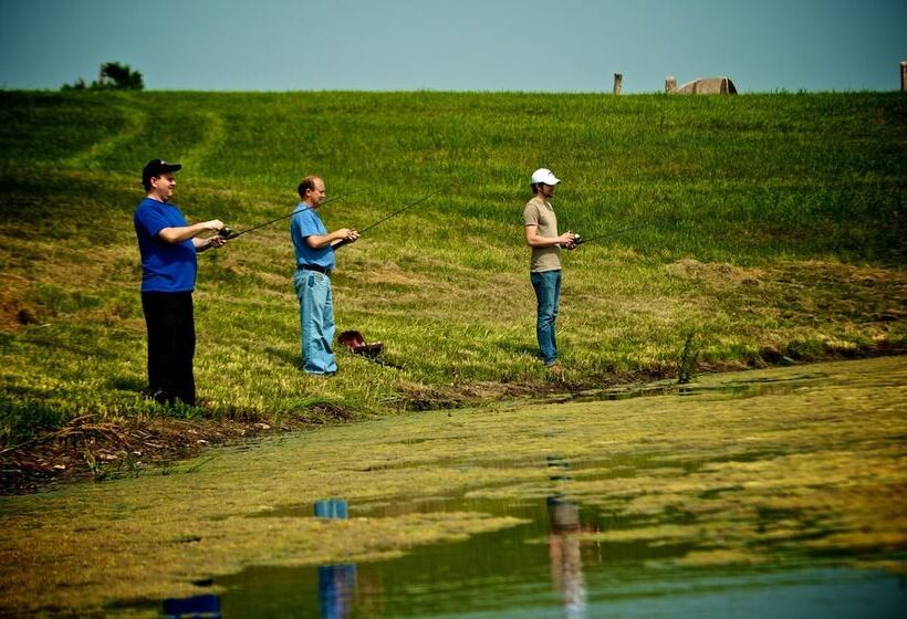 Southern Grace Bed & Breakfast