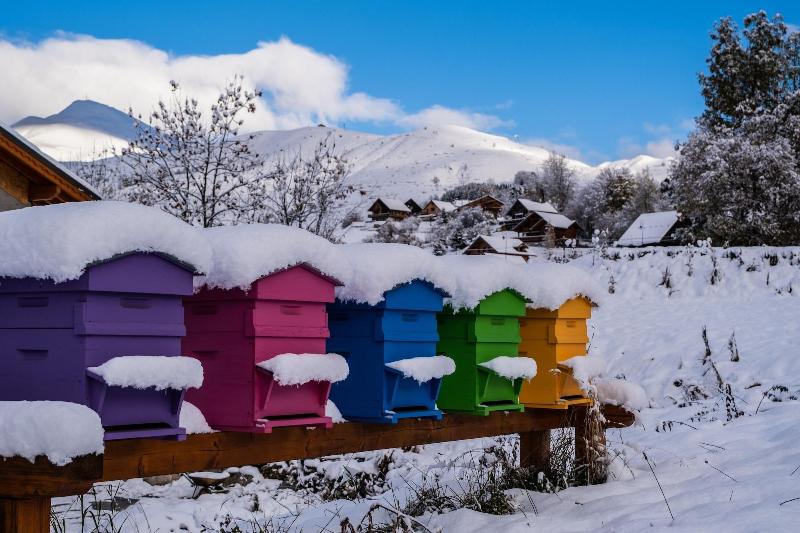Olydea Fontaine Du Roi