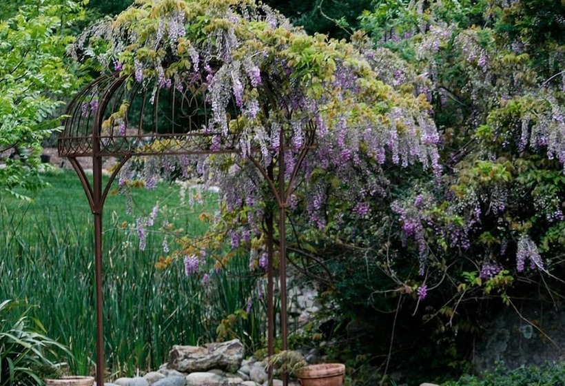 Bella Vista Bed And Breakfast