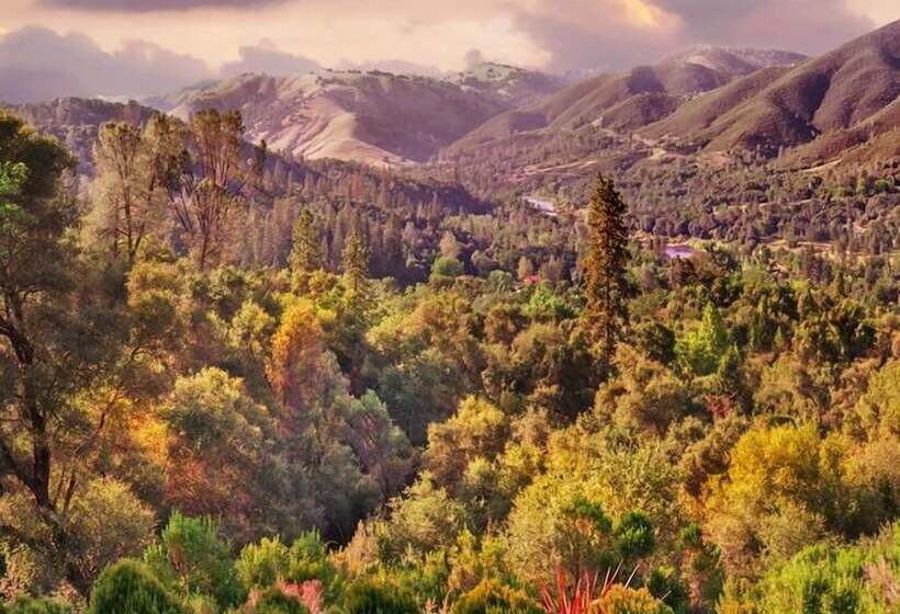 Bella Vista Bed And Breakfast