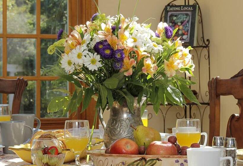 Bella Vista Bed And Breakfast