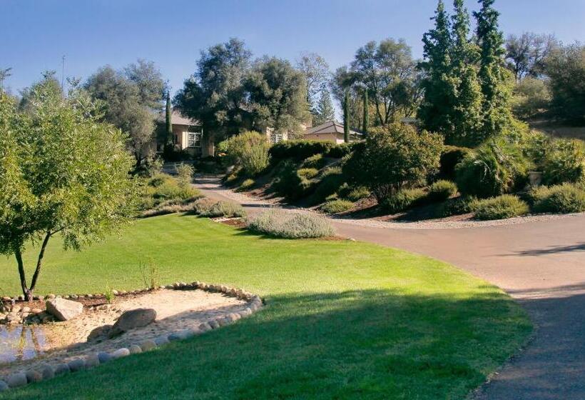 Bella Vista Bed And Breakfast