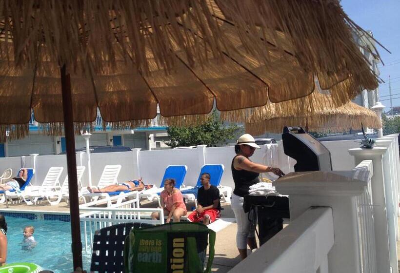 Bird Of Paradise Motel