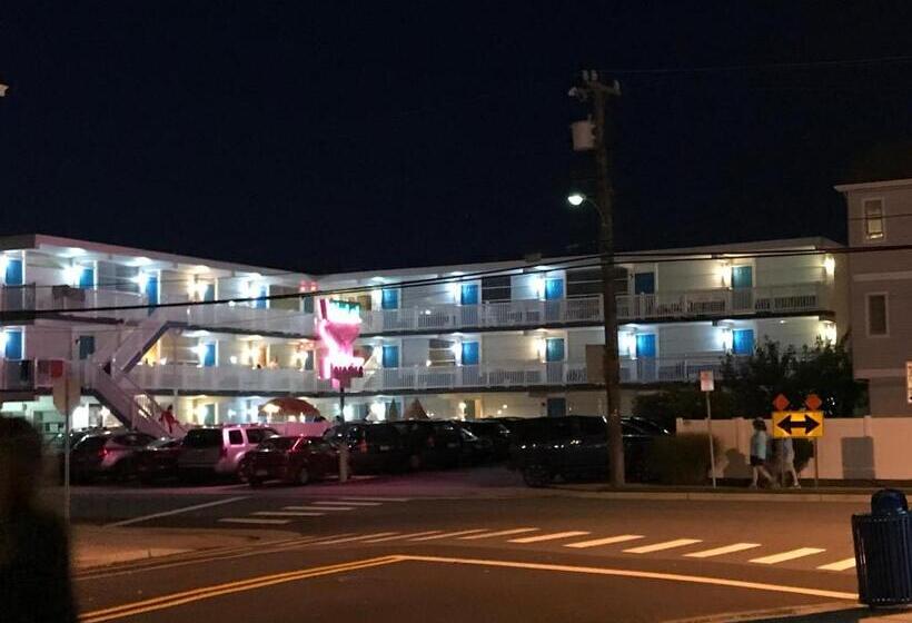 Bird Of Paradise Motel