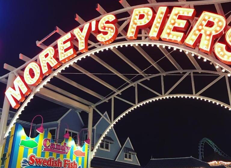 Bird Of Paradise Motel