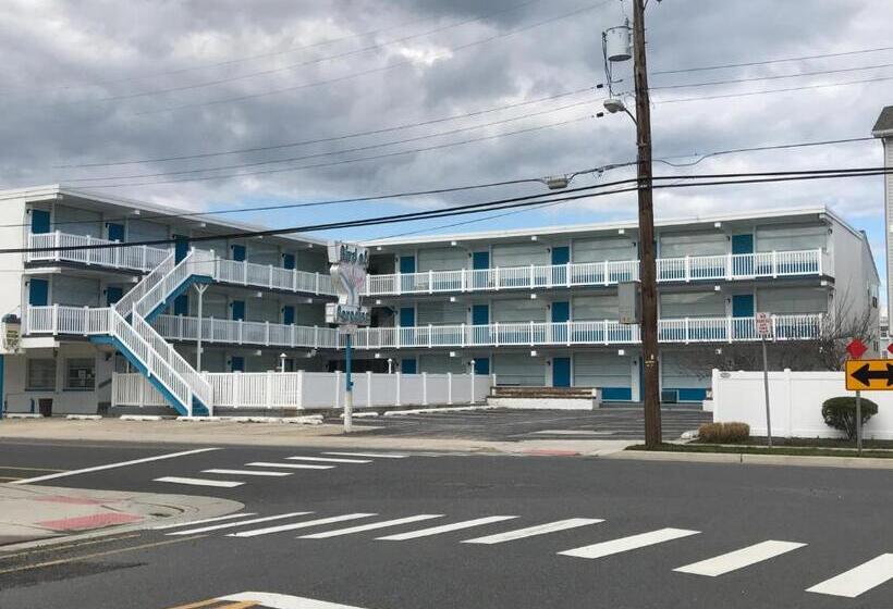 Bird Of Paradise Motel