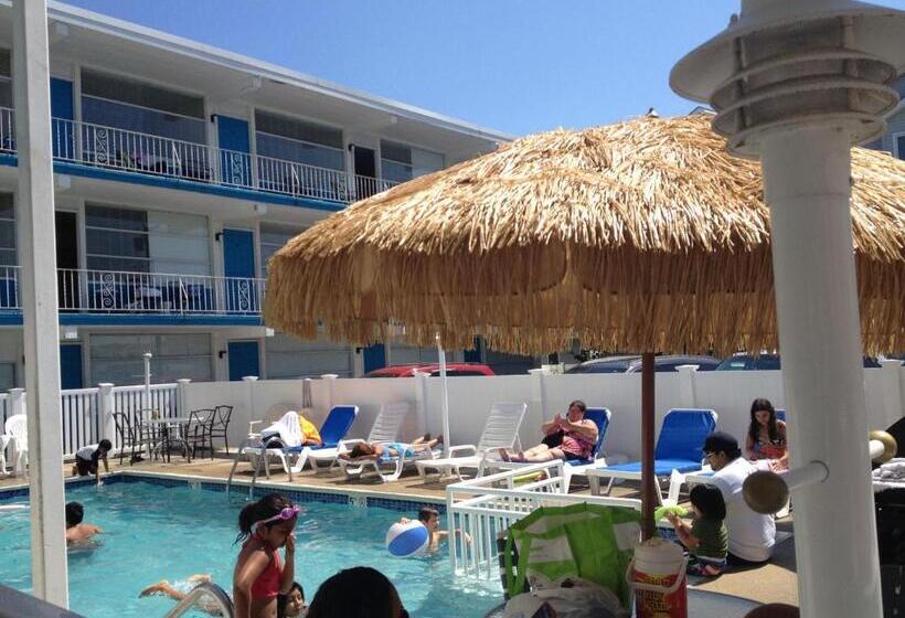 Bird Of Paradise Motel