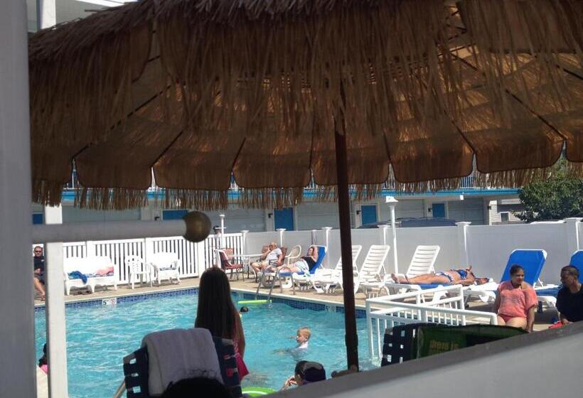 Bird Of Paradise Motel