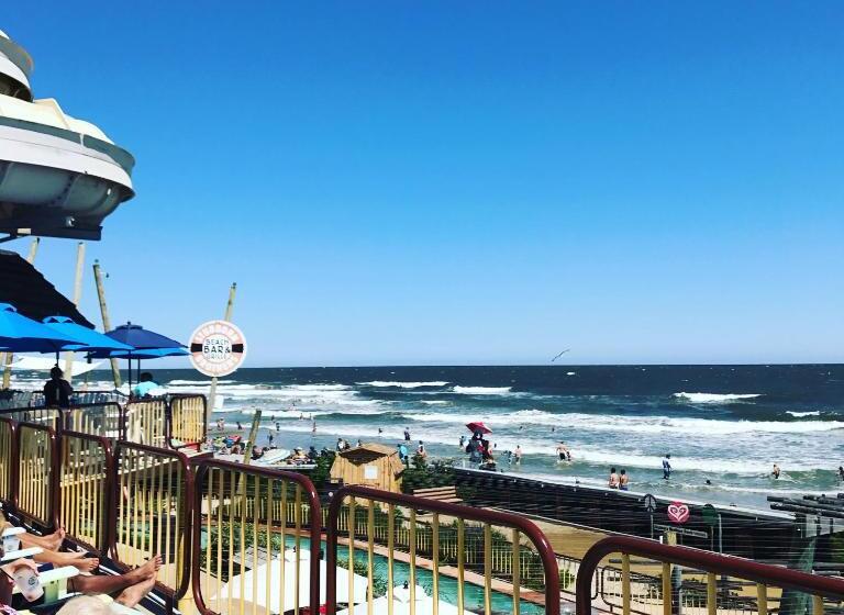 Bird Of Paradise Motel