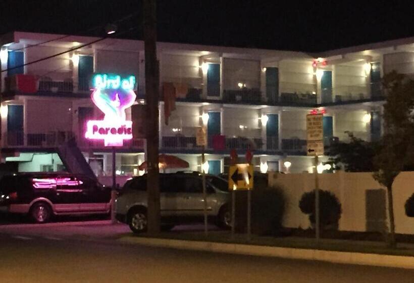 Bird Of Paradise Motel