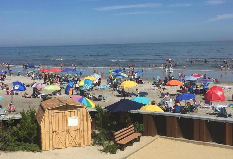 Bird Of Paradise Motel