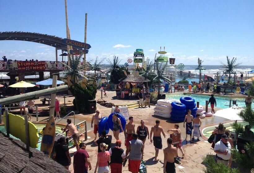 Bird Of Paradise Motel