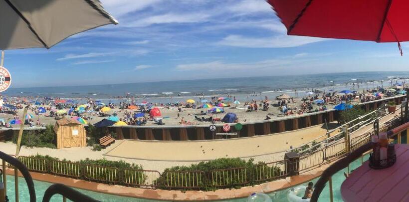 Bird Of Paradise Motel