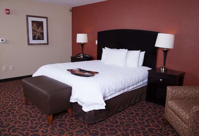 Hampton Inn & Suites Dickinson