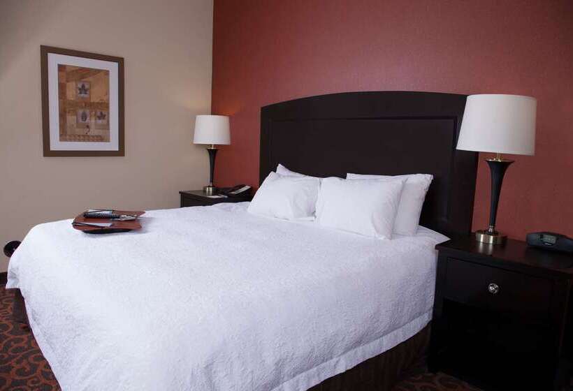 Hampton Inn & Suites Dickinson