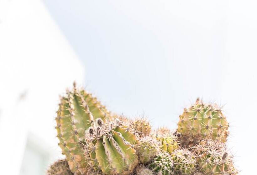 호텔 Agave Santorini Design Boutique