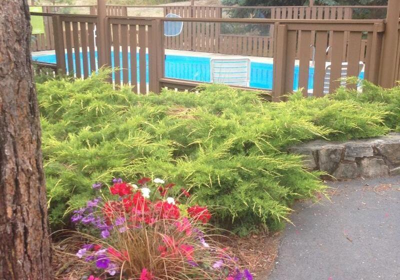 酒店 Alpine Rivers Inn