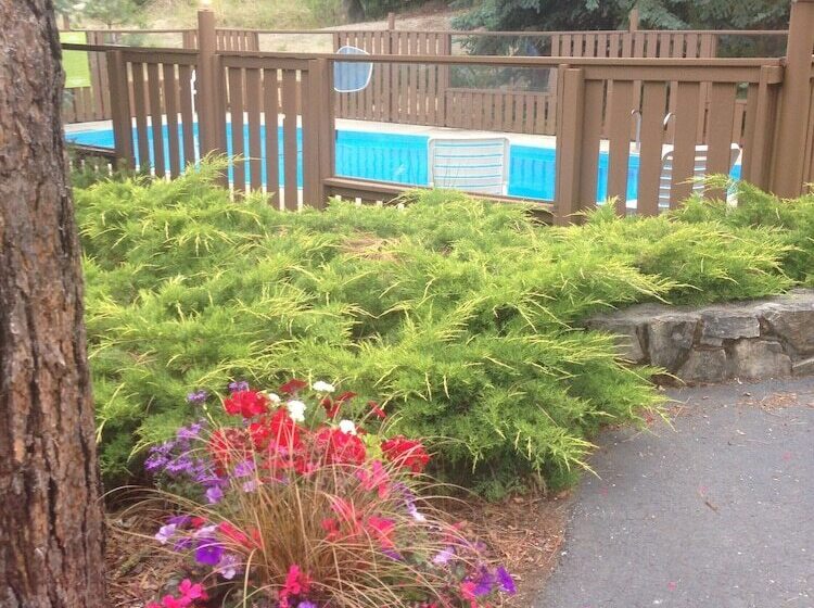 酒店 Alpine Rivers Inn